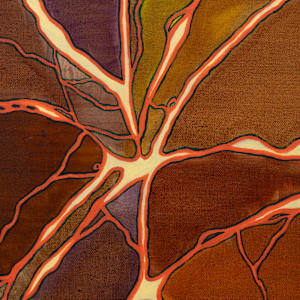 Infusion; Diffuse #2 by Sean McDowell, Image 6.