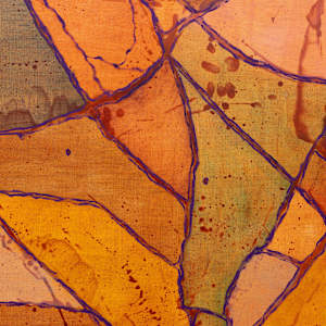 Infusion; Diffuse #4 by Sean McDowell, Image 4.