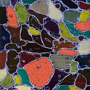 Organelle by Sean McDowell 