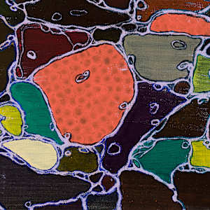 Organelle by Sean McDowell 