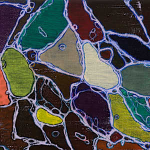 Organelle by Sean McDowell 