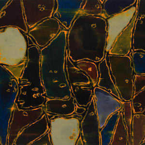 Recursion by Sean McDowell 