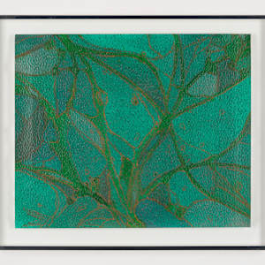 From Chlorophyll #4 by Sean McDowell 