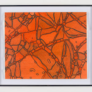 From Chromatophores #2 by Sean McDowell 