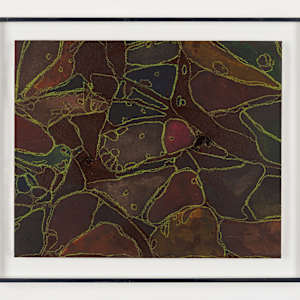 From Microglia #5 by Sean McDowell 