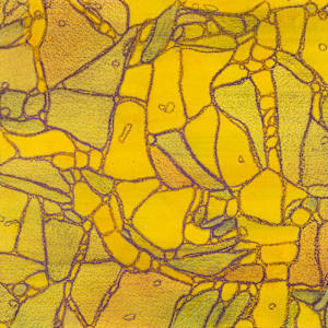 From Apoptosis #2 by Sean McDowell 