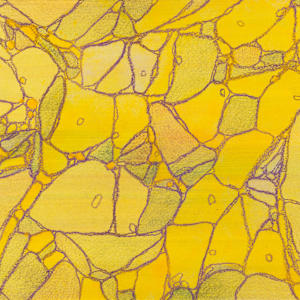 From Apoptosis #3 by Sean McDowell 