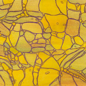 From Apoptosis #4 by Sean McDowell 