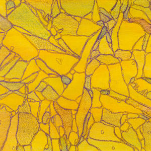 From Apoptosis #5 by Sean McDowell 