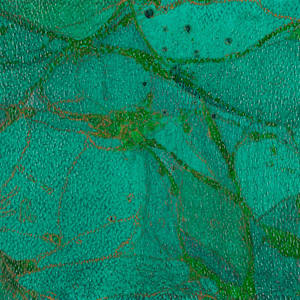 From Chlorophyll #1 by Sean McDowell 