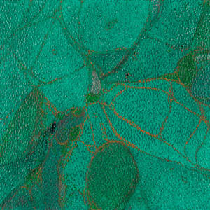 From Chlorophyll #6 by Sean McDowell 