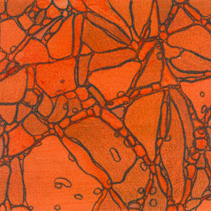 From Chromatophores #2 by Sean McDowell 