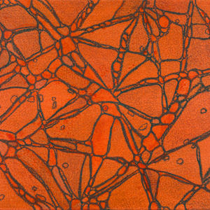 From Chromatophores #4 by Sean McDowell 