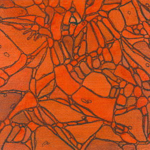 From Chromatophores #5 by Sean McDowell 