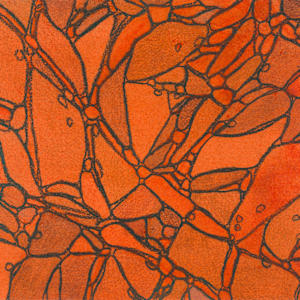 From Chromatophores #6 by Sean McDowell 