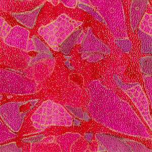 From Epithelium #6 by Sean McDowell 