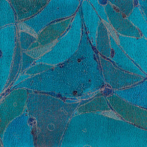 From Methylene #2 by Sean McDowell 