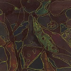 From Microglia #6 by Sean McDowell 