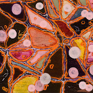 Spores by Sean McDowell 