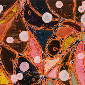 Spores by Sean McDowell 