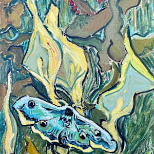 Moth After Van Gogh by Amanda Scott