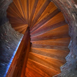 Up the Down Staircase by James Reed