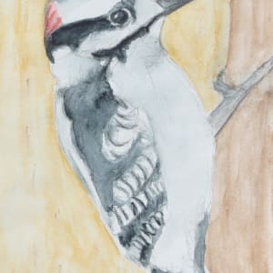Woodpecker by Amy Bryan