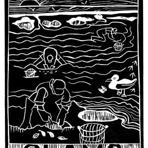 Clams by Artnova Gallery