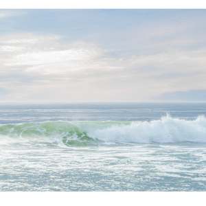 Easy Does It by Artnova Gallery