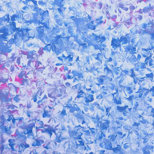 Hortensea by Artnova Gallery