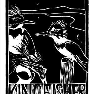 Kingfisher by Artnova Gallery