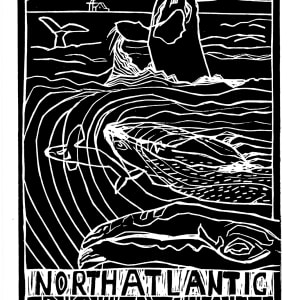North Atlantic Right Whale by Artnova Gallery