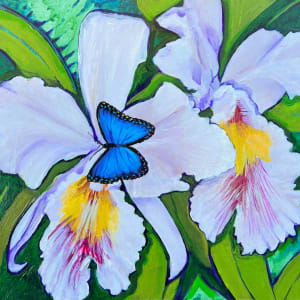 Orchids and Butterfly by Artnova Gallery