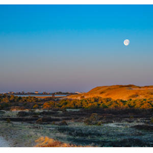 Moonset over High Head by Artnova Gallery & Salt Studio