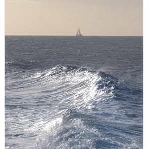 Leeward Sail by Artnova Gallery & Salt Studio, Image 1.