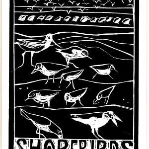 Shore birds by Artnova Gallery