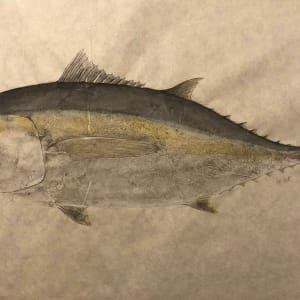 Blackfin Tuna by Kaylee Hettenbaugh 