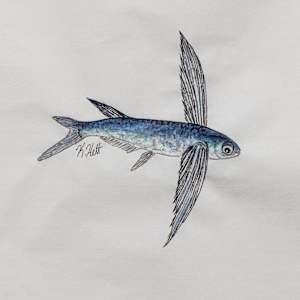 Flying Fish I by Kaylee Hettenbaugh, Image 2.