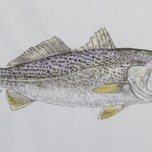 Summertout by Kaylee Hettenbaugh 