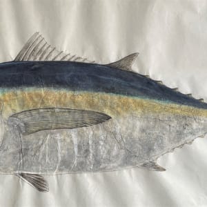 Blackfin Tuna by Kaylee Hettenbaugh 
