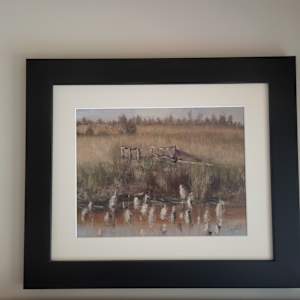 Walking on the Presqu'ile Marsh Boardwalk Trail by Gail Knecht 