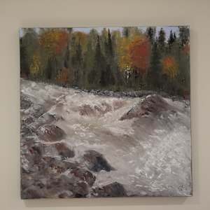 Snowshoe Creek Falls- Algoma by Gail Knecht 