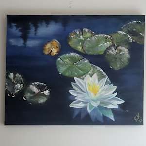 Marsh Lake Water Lily- Algoma by Gail Knecht 