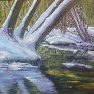 Ancient Cedars- Butler Creek- Brighton by Gail Knecht, Image 1.
