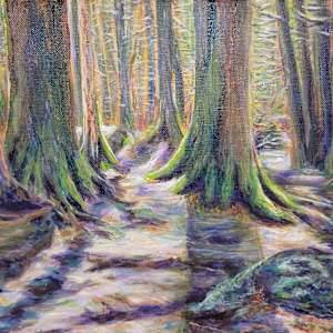 Enchanting Forest-Presqui'le by Gail Knecht, Image 1.
