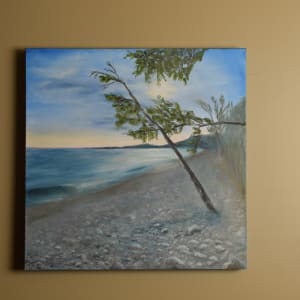 Fossil Beach- Brighton by Gail Knecht  Image: One of our favorite places