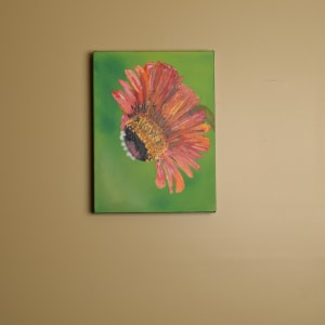 Flower by Gail Knecht 