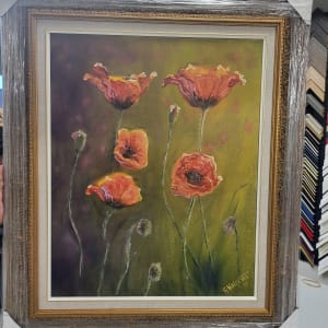 'Field Poppies' by Gail Knecht 