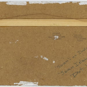 Swan-an Indian Spirit, Swan Island by Dot Kibbee 