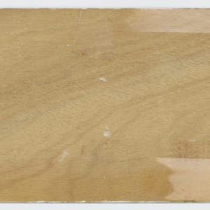 Autumn by Dot Kibbee 